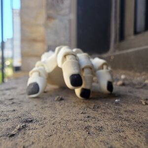 Skeleton Hand Decor with Black Fingertips